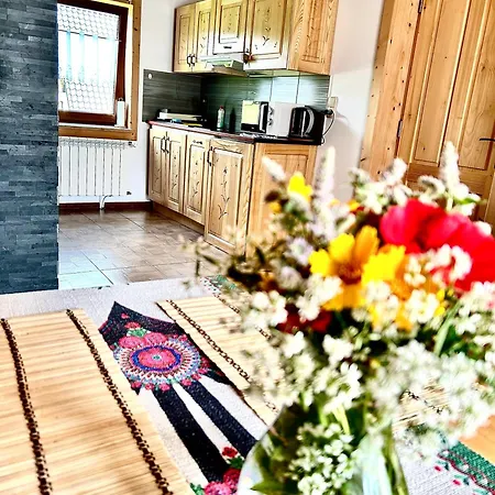 Homestay Noclegi U Sabalow Koscielisko